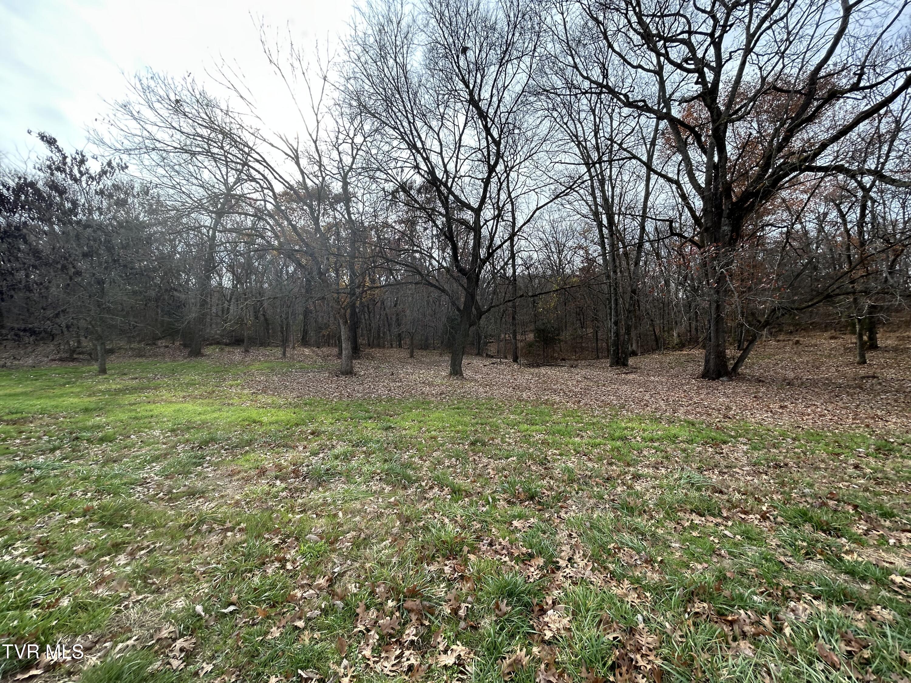 635 McDonald Road Midway, TN 37809 - Photo 36 of 43 IMG_3907