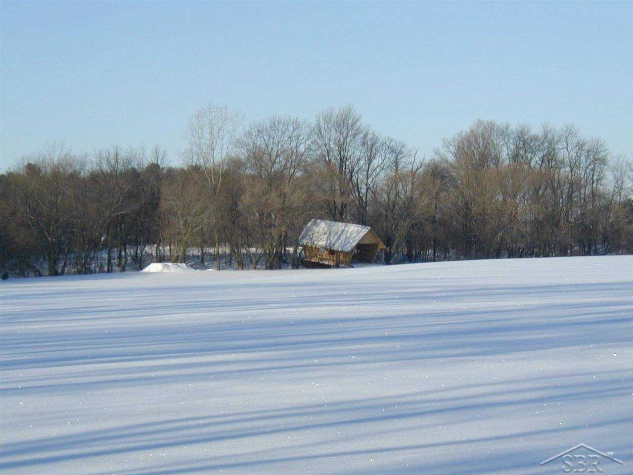 9710 Warnick Road Frankenmuth, MI 48734 - Photo 39 of 43 31387415-38.JPG