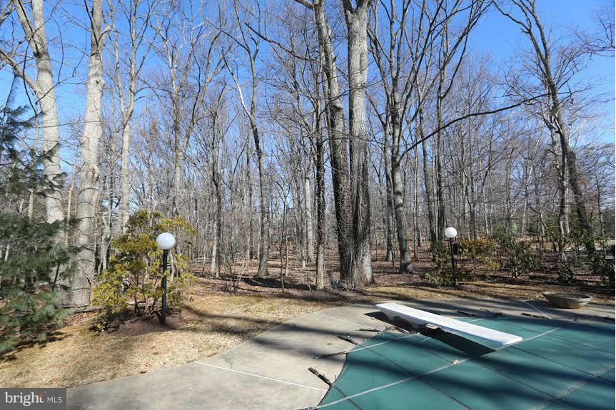 13205 Darnestown Road Gaithersburg, MD 20878 - Photo 18 of 25 Back yard and diving board