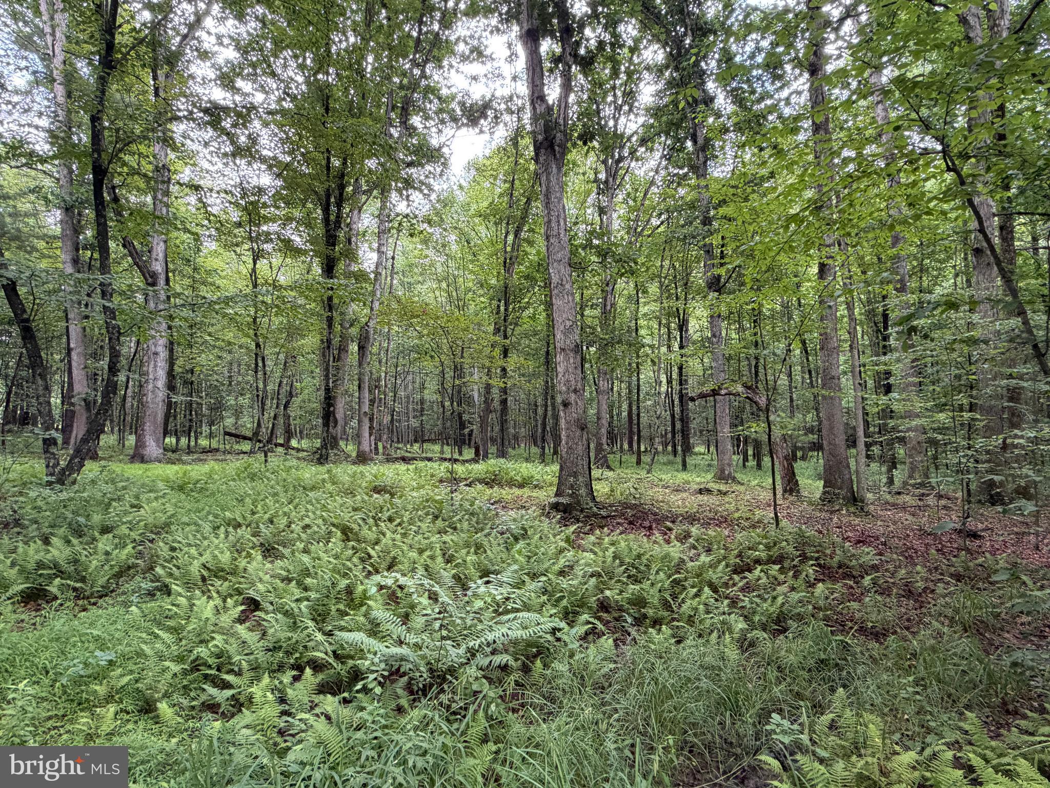 17147 Sugar Run Road Shirleysburg, PA 17260 - Photo 128 of 148