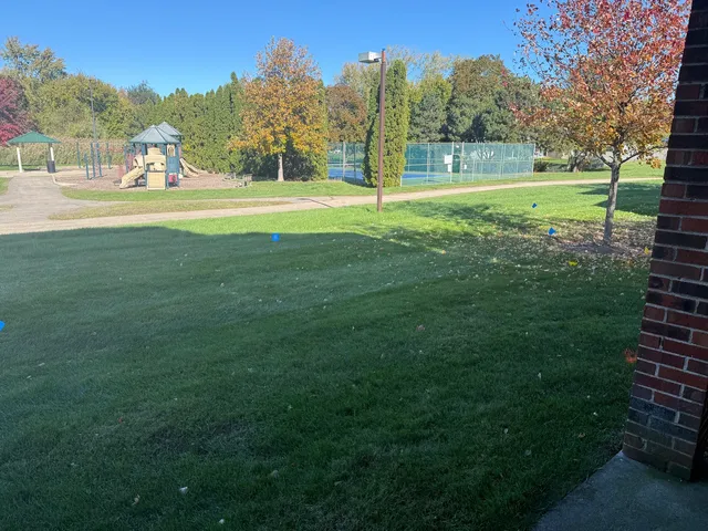 a view of grassy field with trees