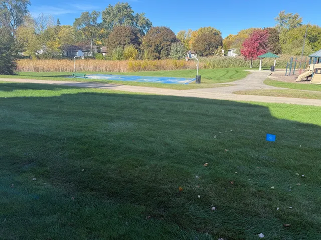 a view of a field of grass and trees