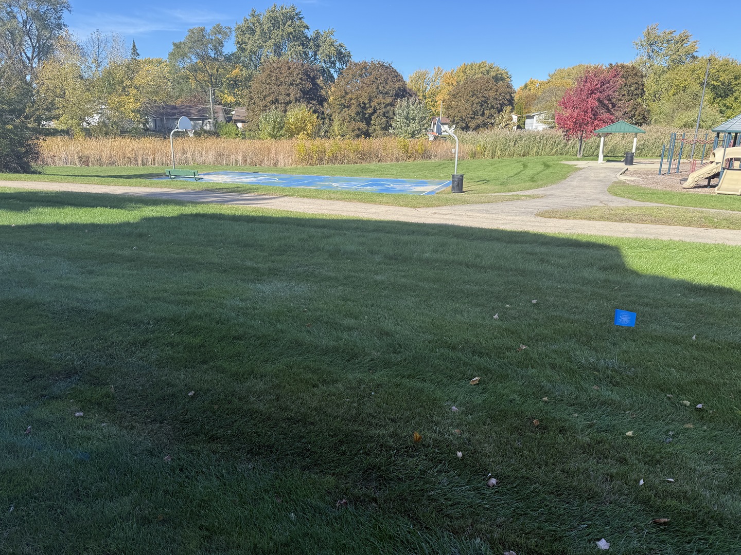 1319 Kingsbury Drive, Unit 2 Hanover Park, IL 60133 - Photo 19 of 44 a view of a field of grass and trees