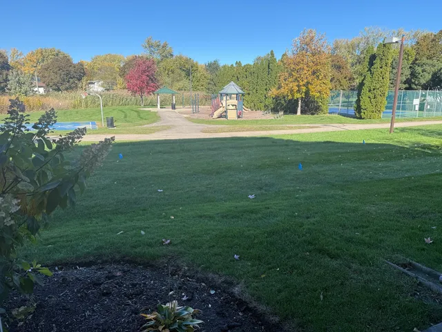 a view of grassy field with trees