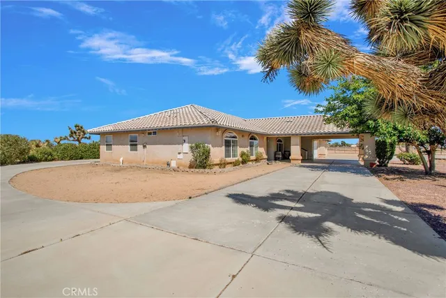 a white house with palm tree in front of it