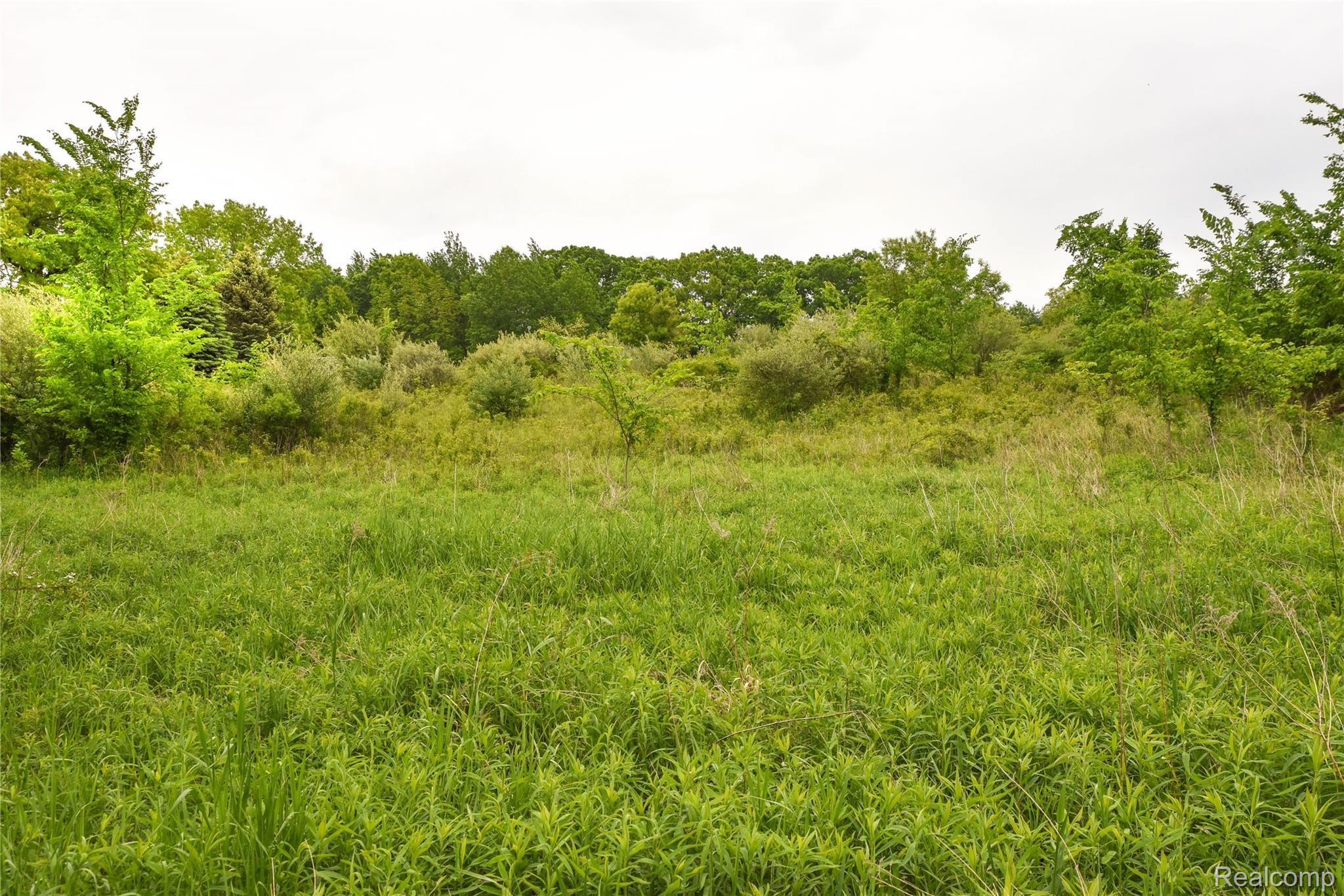 0 Thomas Road Metamora, MI 48455 - Photo 25 of 30 Thomas Road by WCB (25).jpg