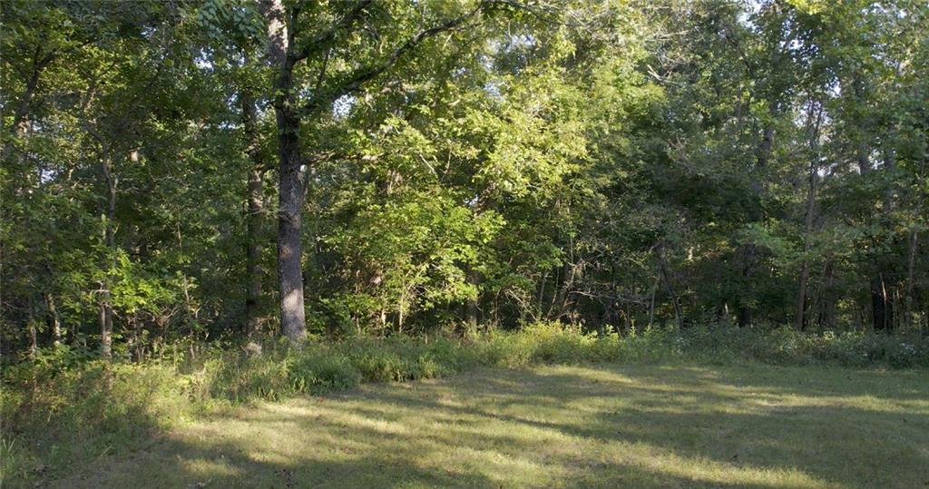 0 Ritchie Lane Edwards, MO 65326 - Photo 7 of 12 Gallery Image 7