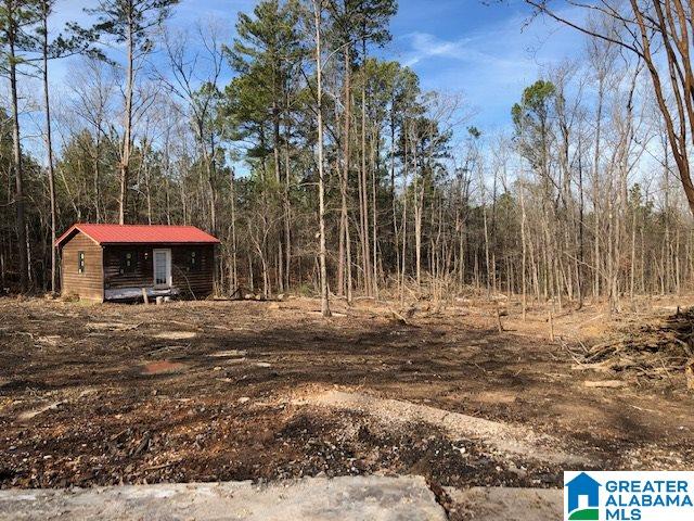 1919 Mt Gilead Road, Unit 9 21 Jacksonville, AL 36265 - Photo 29 of 39