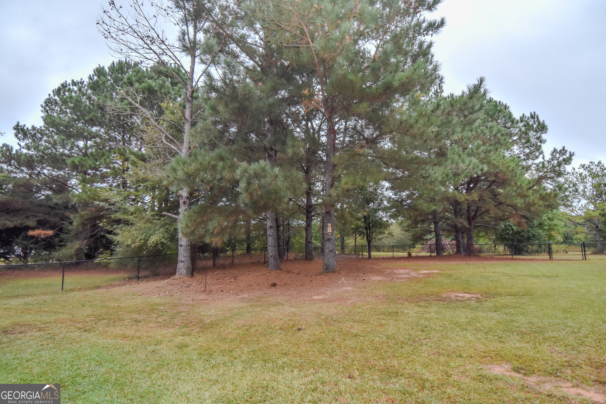 1946 Highway 362 Williamson, GA 30292 - Photo 92 of 104 a view of outdoor space with trees all around
