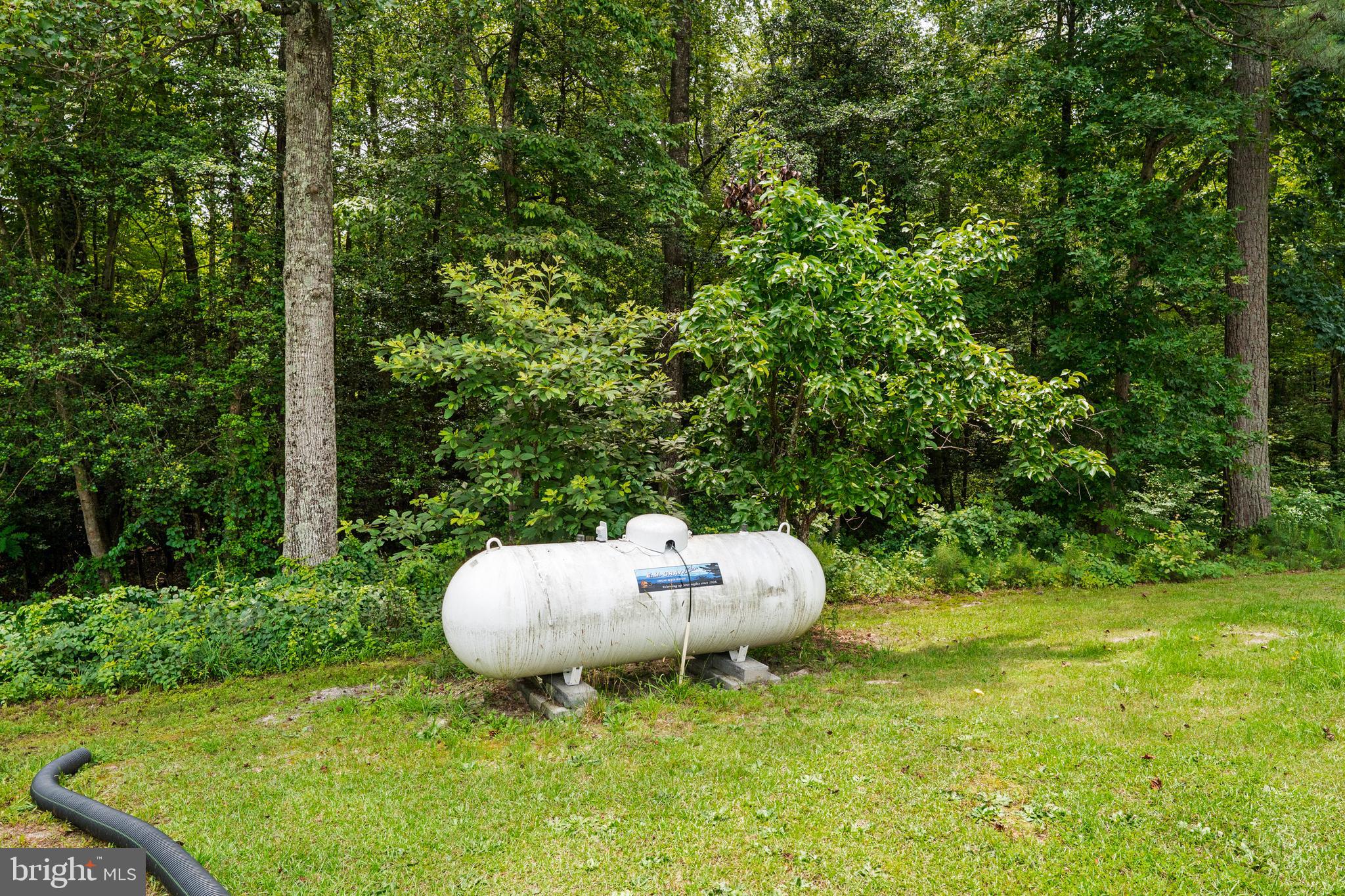 14589 Dry Bridge Road Ruther Glen, VA 22546 - Photo 54 of 72 Propane