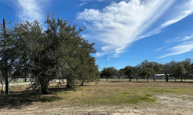 a view of a field with trees in the background