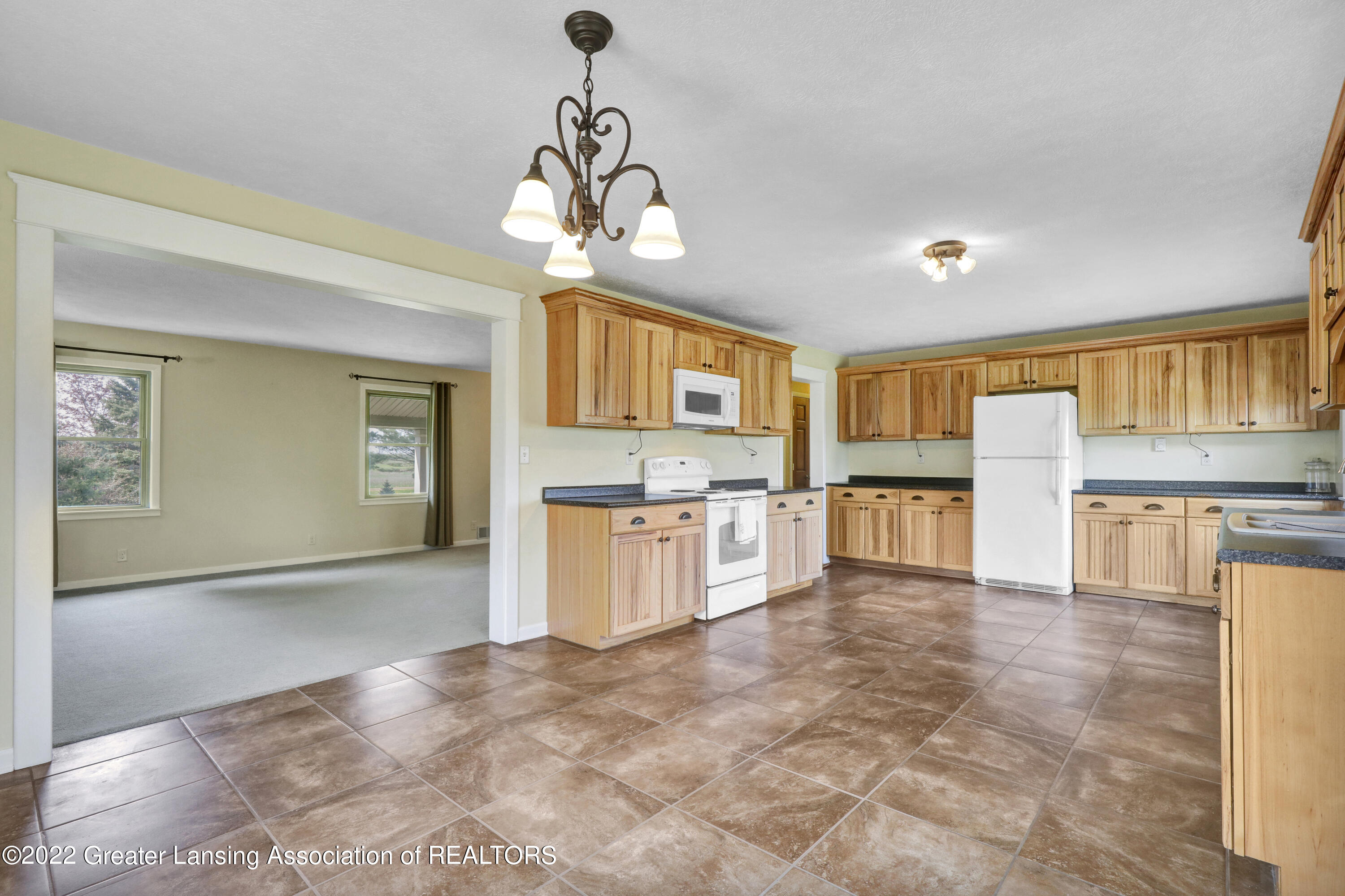 2054 West Jason Road Dewitt, MI 48820 - Photo 8 of 63 _I3A3406