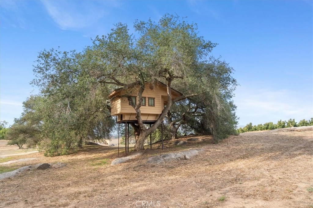30718 Mesa Crest Road Valley Center, CA 92082 - Photo 38 of 50 Tree House