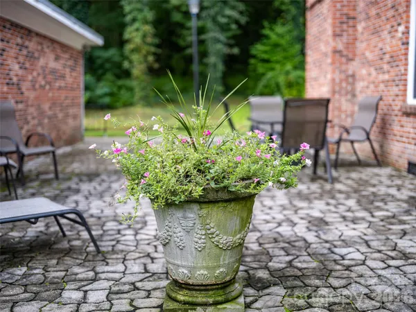 a view of a garden with a chair