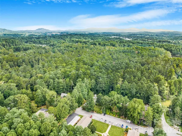 a view of a city with lush green forest