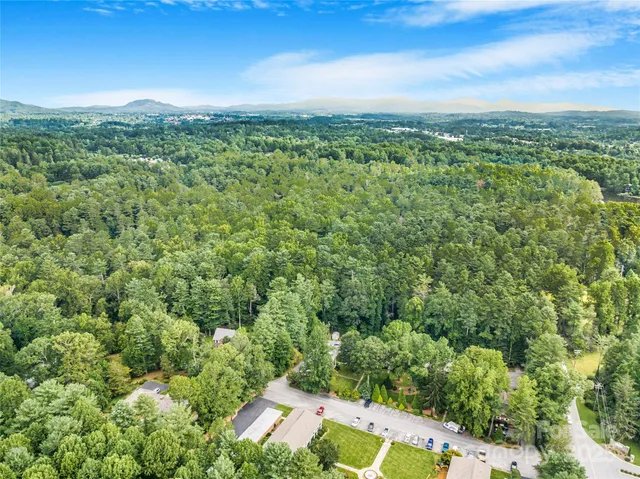 a view of a city with lush green forest
