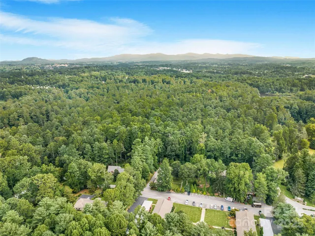a view of a green field with lots of bushes