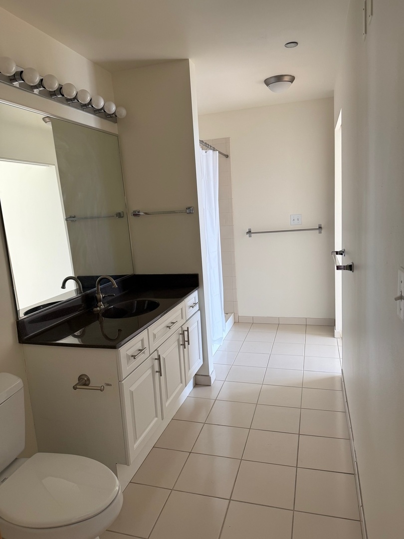 1720 South Michigan Avenue, Unit 2609 Chicago, IL 60616 - Photo 13 of 16 a bathroom with a sink a toilet and a shower
