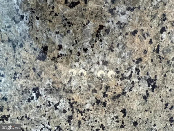 a close up of a plant