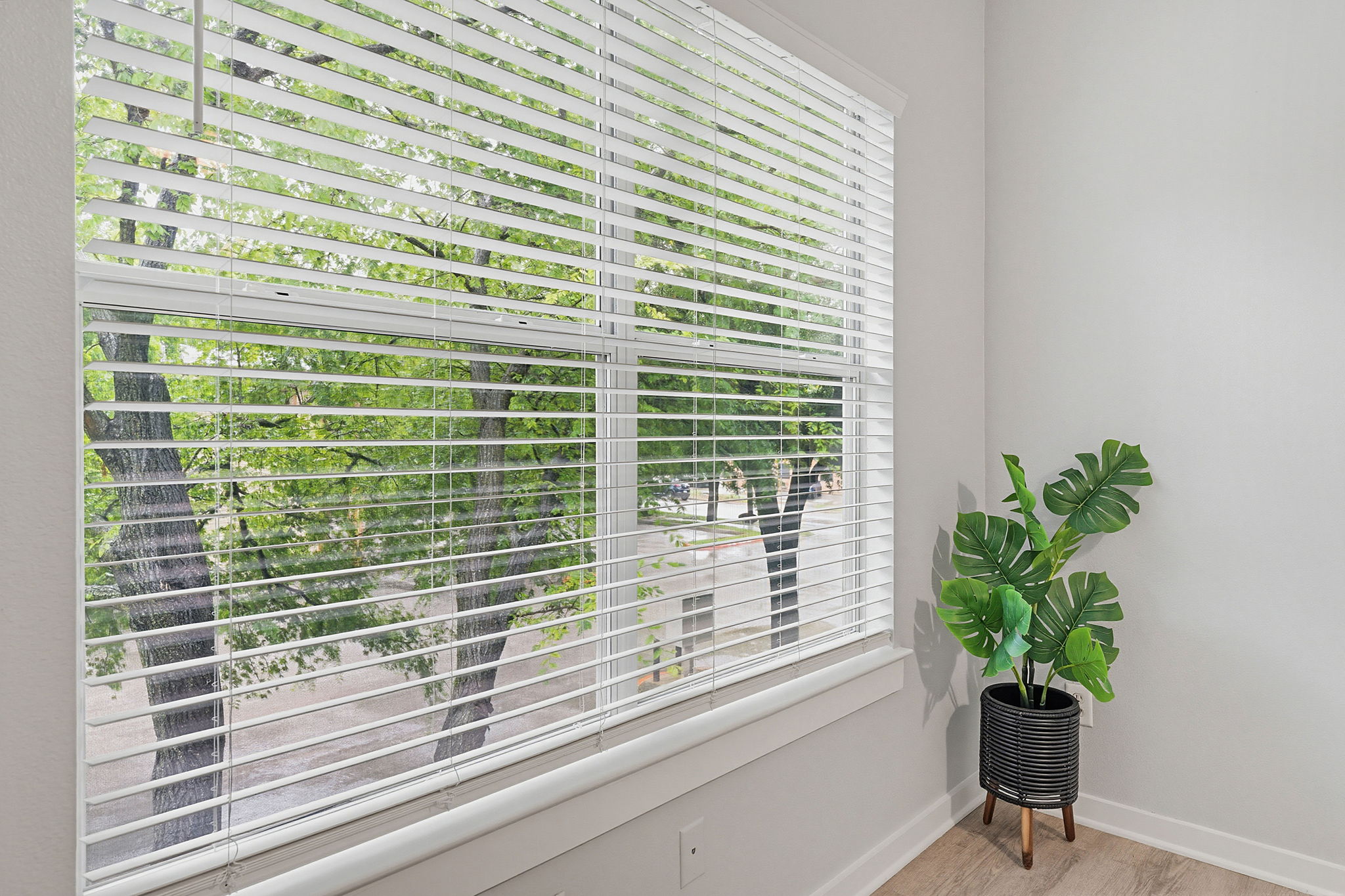 2106 Cullen Avenue, Unit 206 Austin, TX 78757 - Photo 4 of 20 Bedroom offers a peaceful tree-top view.
