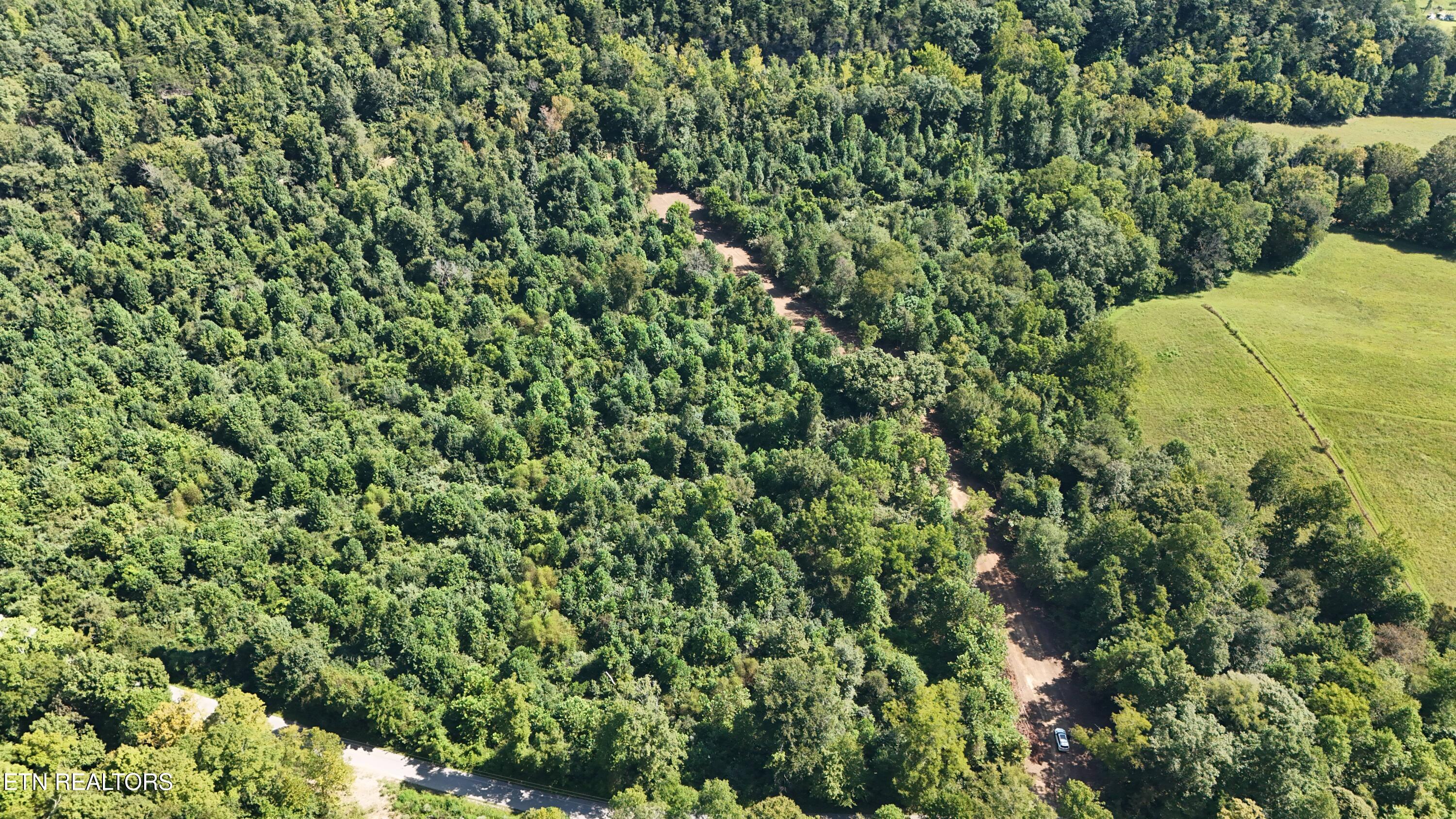 0 New River Road Huntsville, TN 37756 - Photo 8 of 25 3