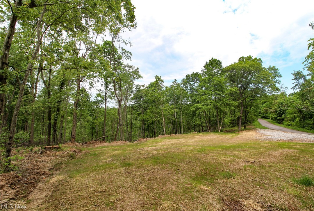2 Mount Carmel Ridge Rd Street St. Marys, WV 26170 - Photo 16 of 18