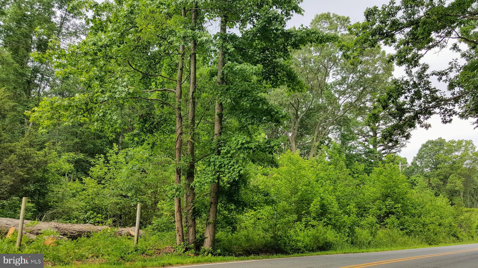 Liverpool Point Road Nanjemoy, MD 20662 - Photo 11 of 11