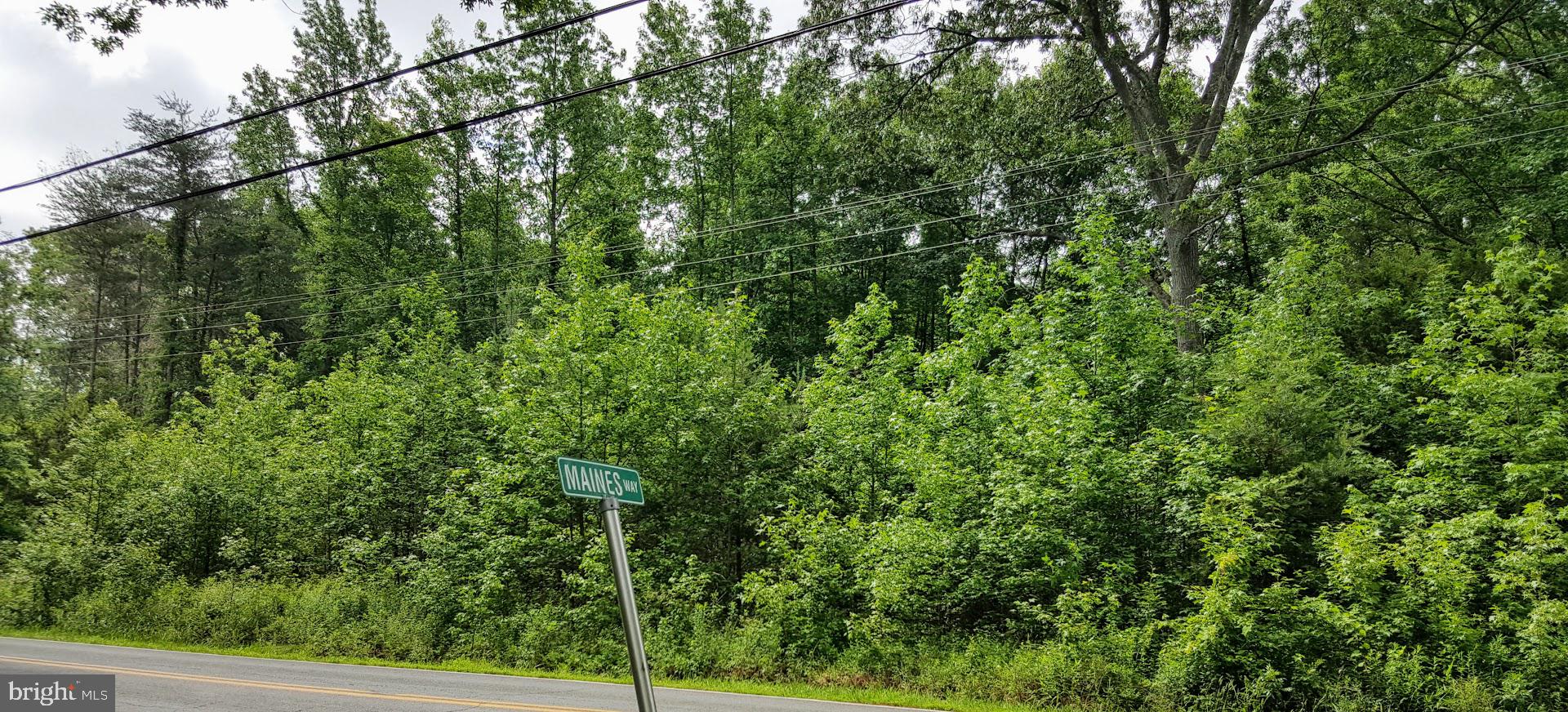 Liverpool Point Road Nanjemoy, MD 20662 - Photo 3 of 11