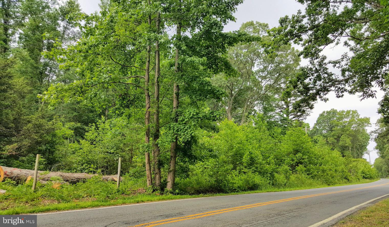 Liverpool Point Road Nanjemoy, MD 20662 - Photo 8 of 11