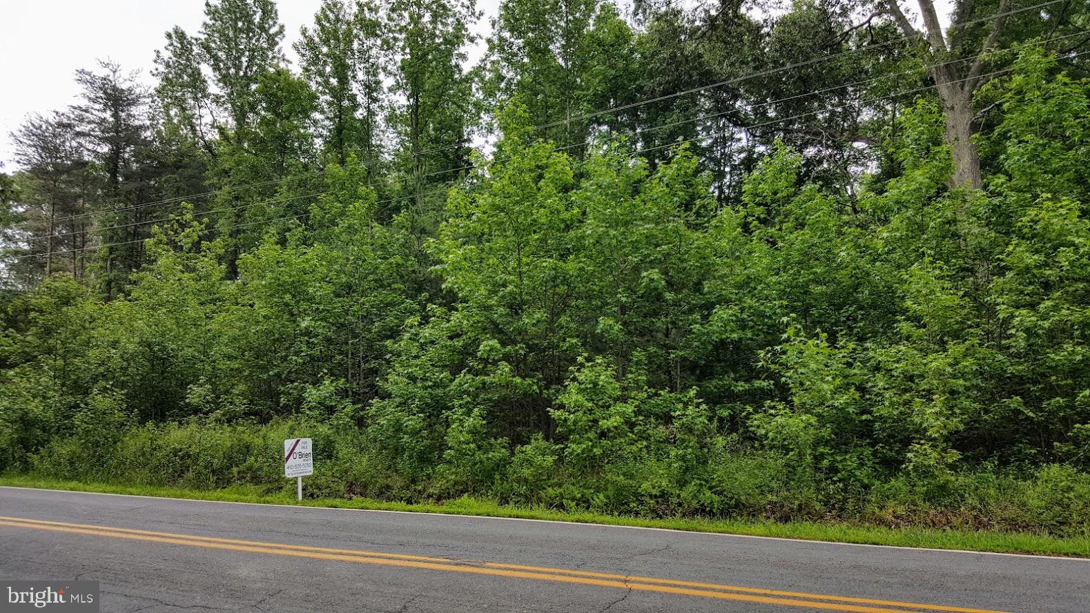 Liverpool Point Road Nanjemoy, MD 20662 - Photo 9 of 11