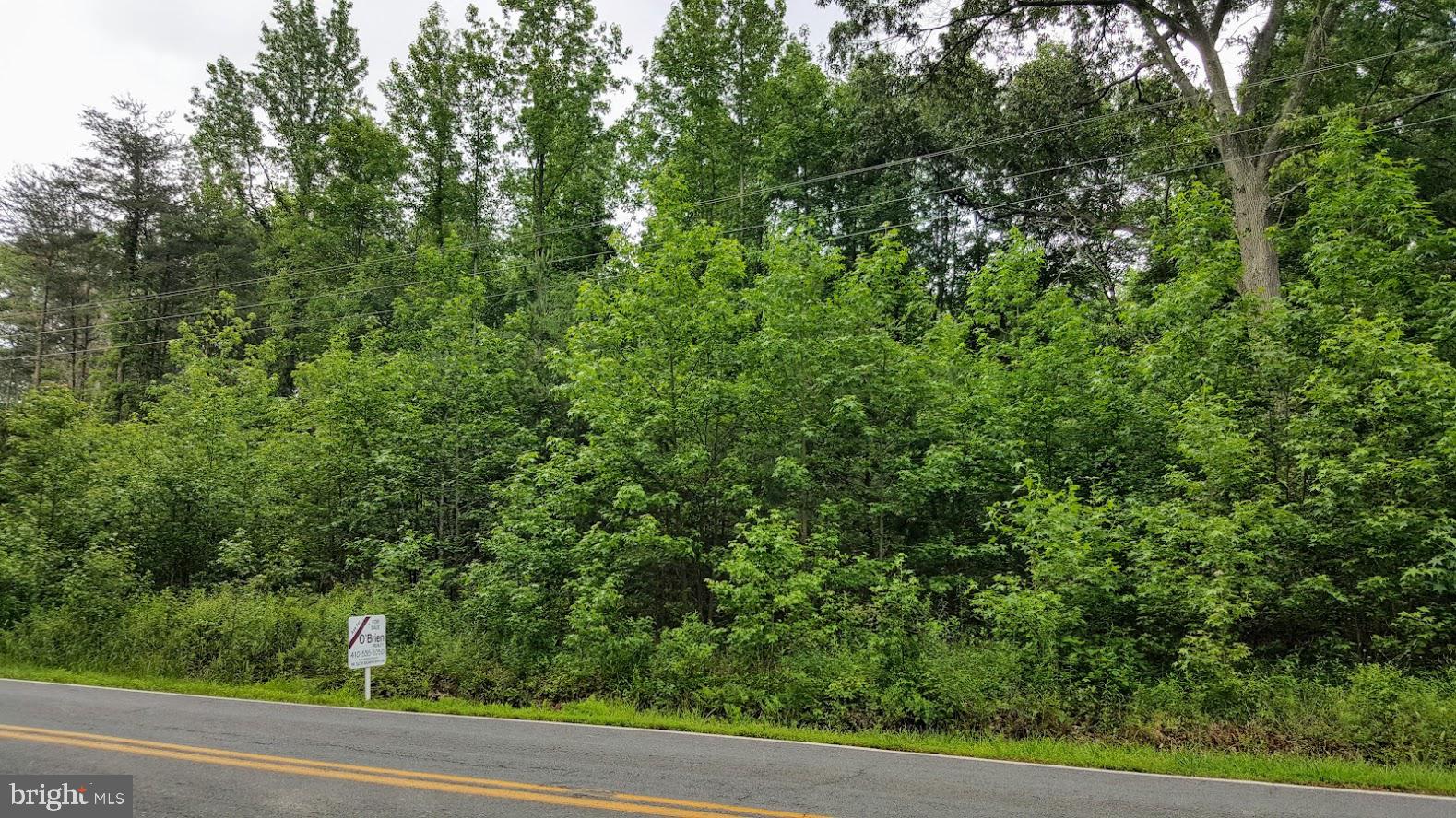 Liverpool Point Road Nanjemoy, MD 20662 - Photo 10 of 11