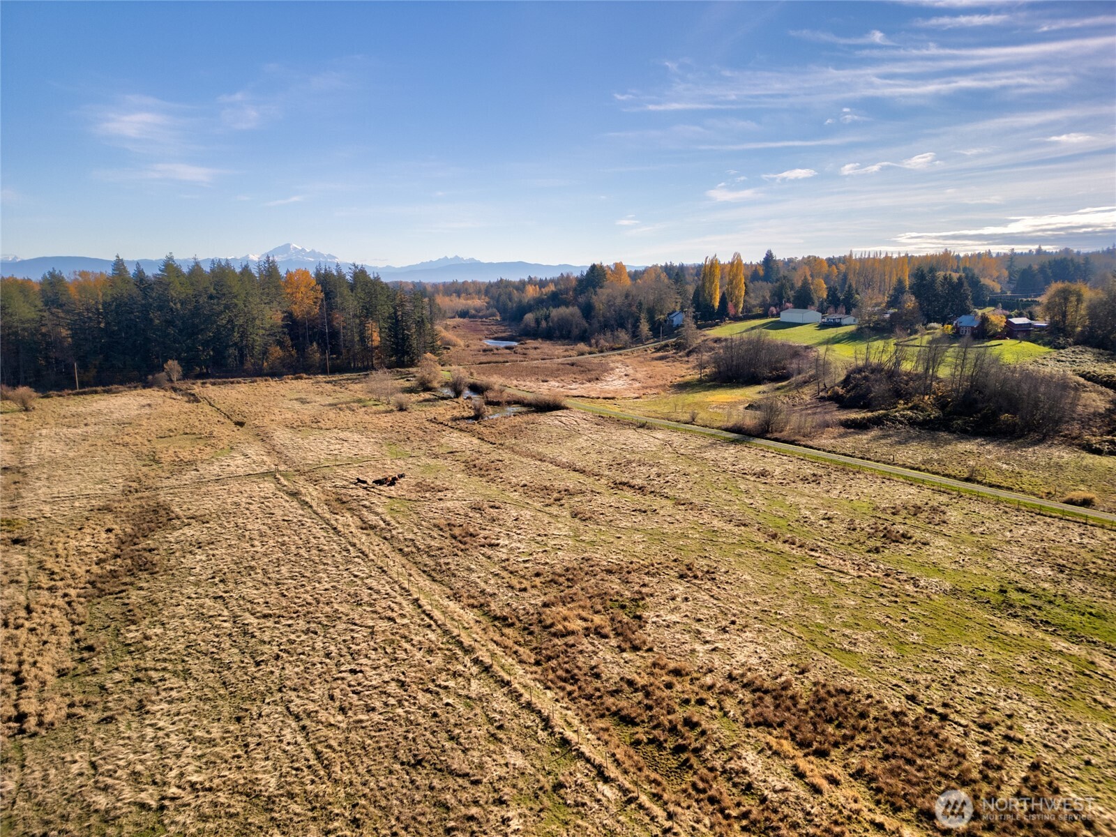 7475 Valley View Road Ferndale, WA 98248 - Photo 5 of 9 a view of a yard