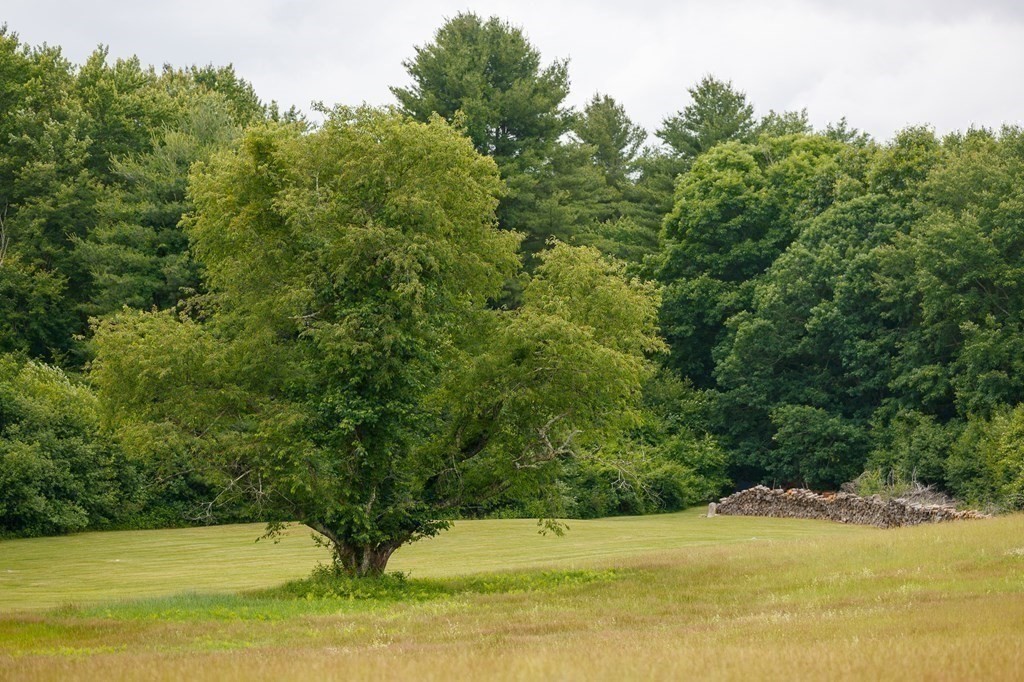 139 Fruit Street Hopkinton, MA 01748 - Photo 36 of 41 a view of a yard with an outdoor space