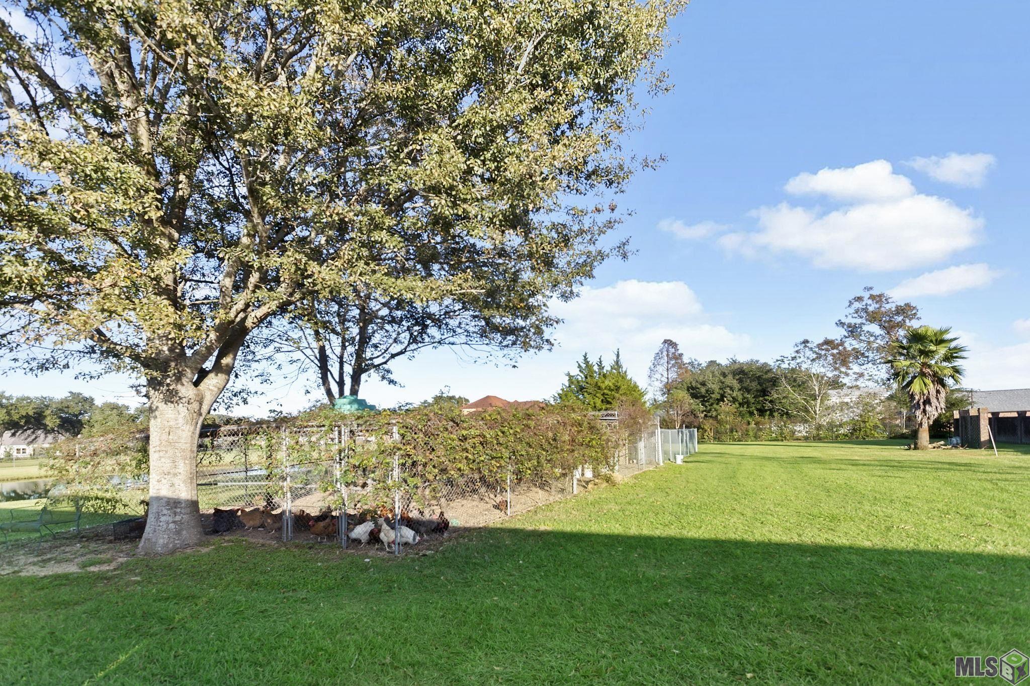 40010 Farm Road Gonzales, LA 70737 - Photo 4 of 24