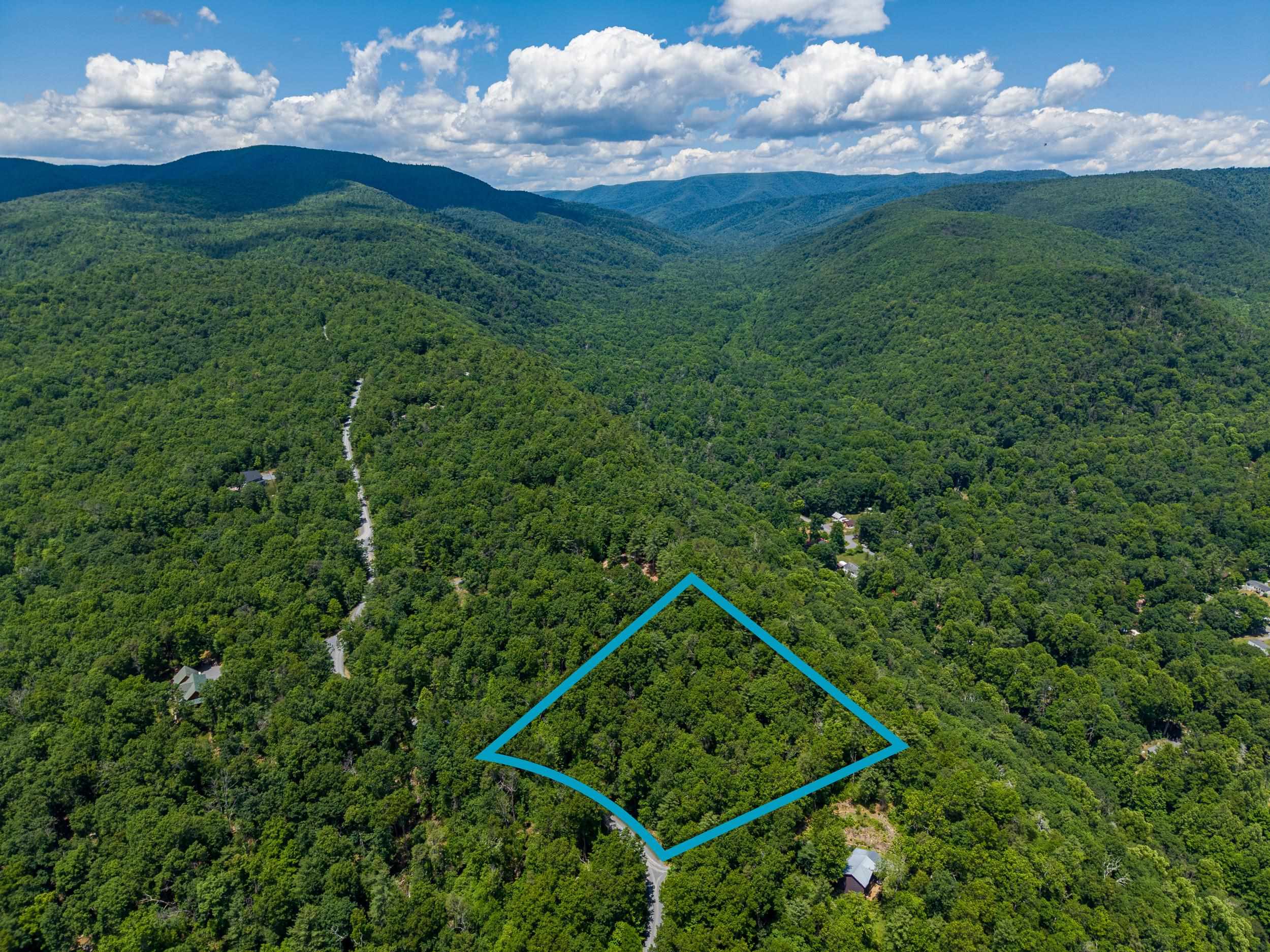 5 Rabbits Foot Road Hinton, VA 22831 - Photo 4 of 16