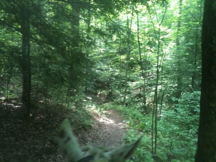 9999 Hales Fork Road Flat Lick, KY 40935 - Photo 32 of 47 IMG_0585