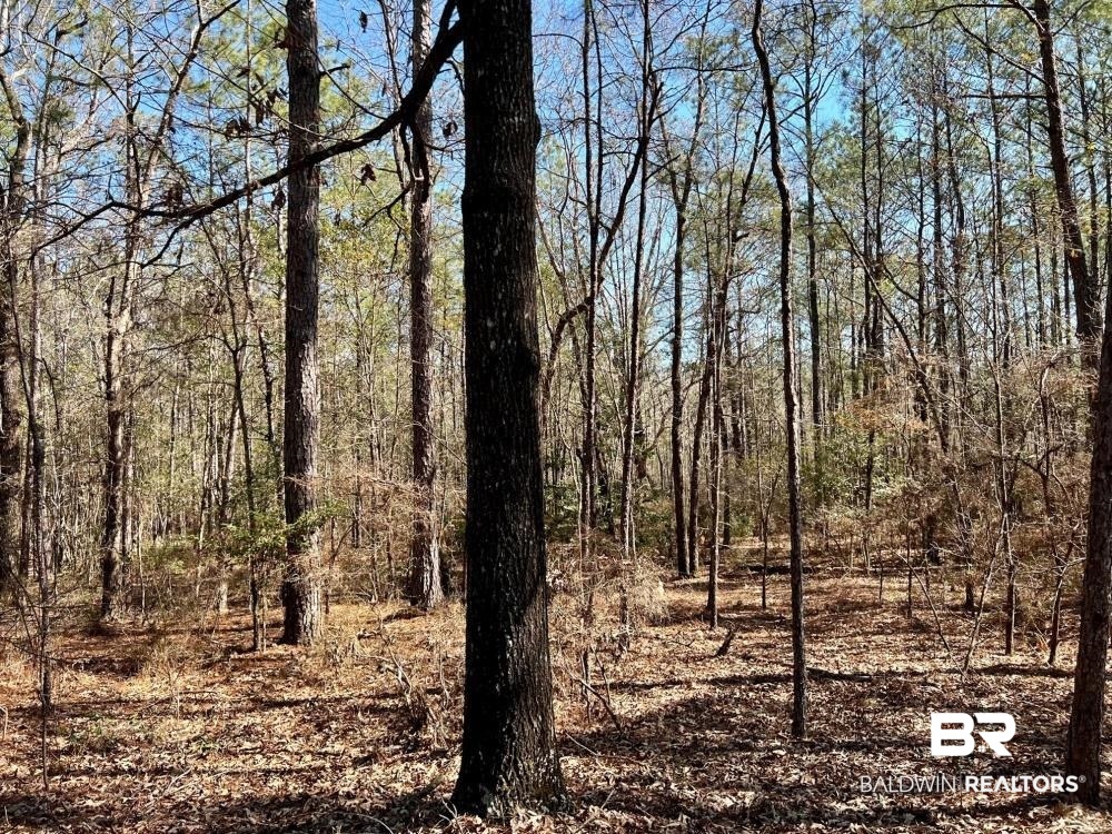 0 Country Road Deer Park, AL 36529 - Photo 39 of 46
