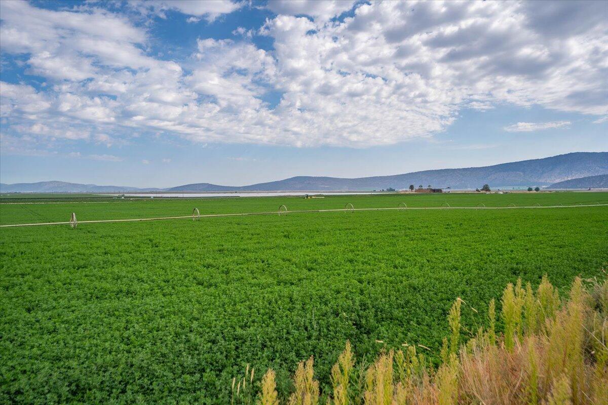 2935 Sheep Mountain Road Macdoel, CA 96058 - Photo 134 of 137 124-Macdoel Hay Ranch1 - E-98