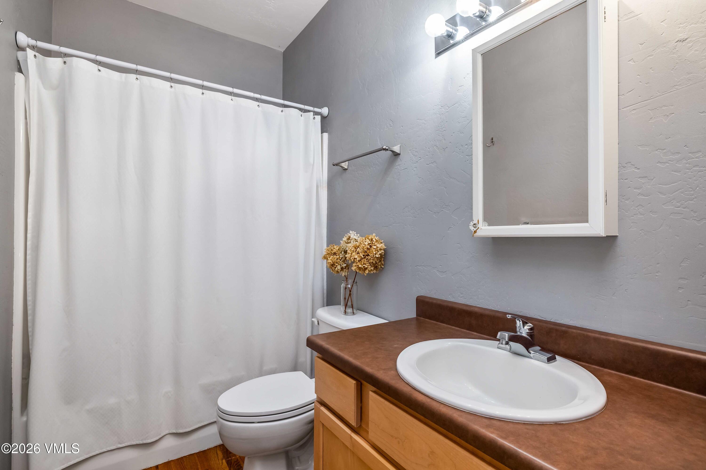 491 Metcalf Road, Unit A2 Avon, CO 81620 - Photo 13 of 23 a bathroom with a sink toilet and a mirror