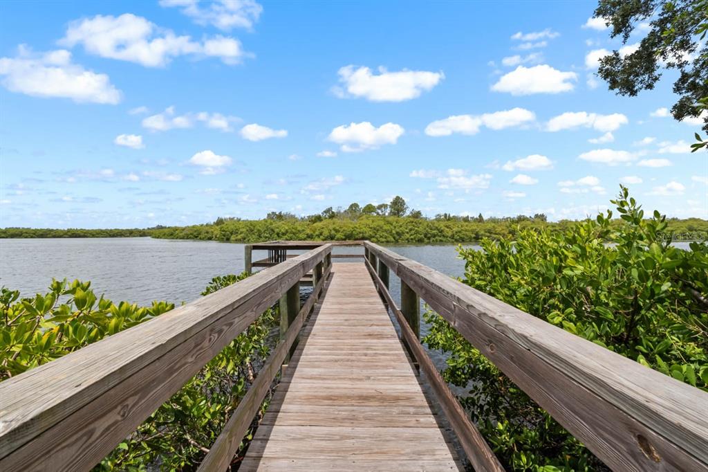 809 Timeless Moss Drive Ruskin, FL 33570 - Photo 68 of 76