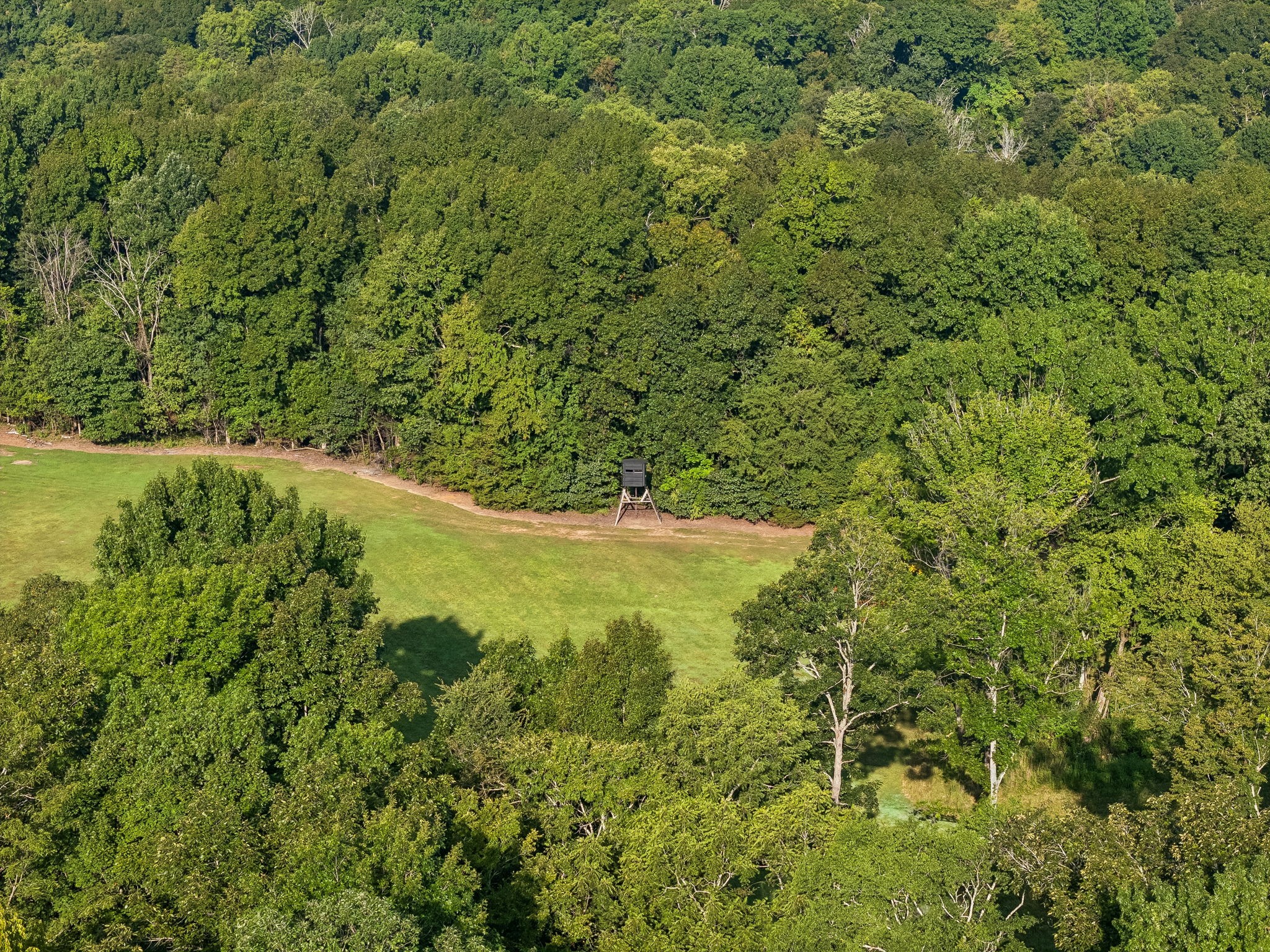 3680 Clark Road Lewisburg, TN 37091 - Photo 6 of 60 Gallery Image 6