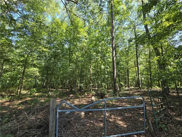 a view of a field of grass and trees