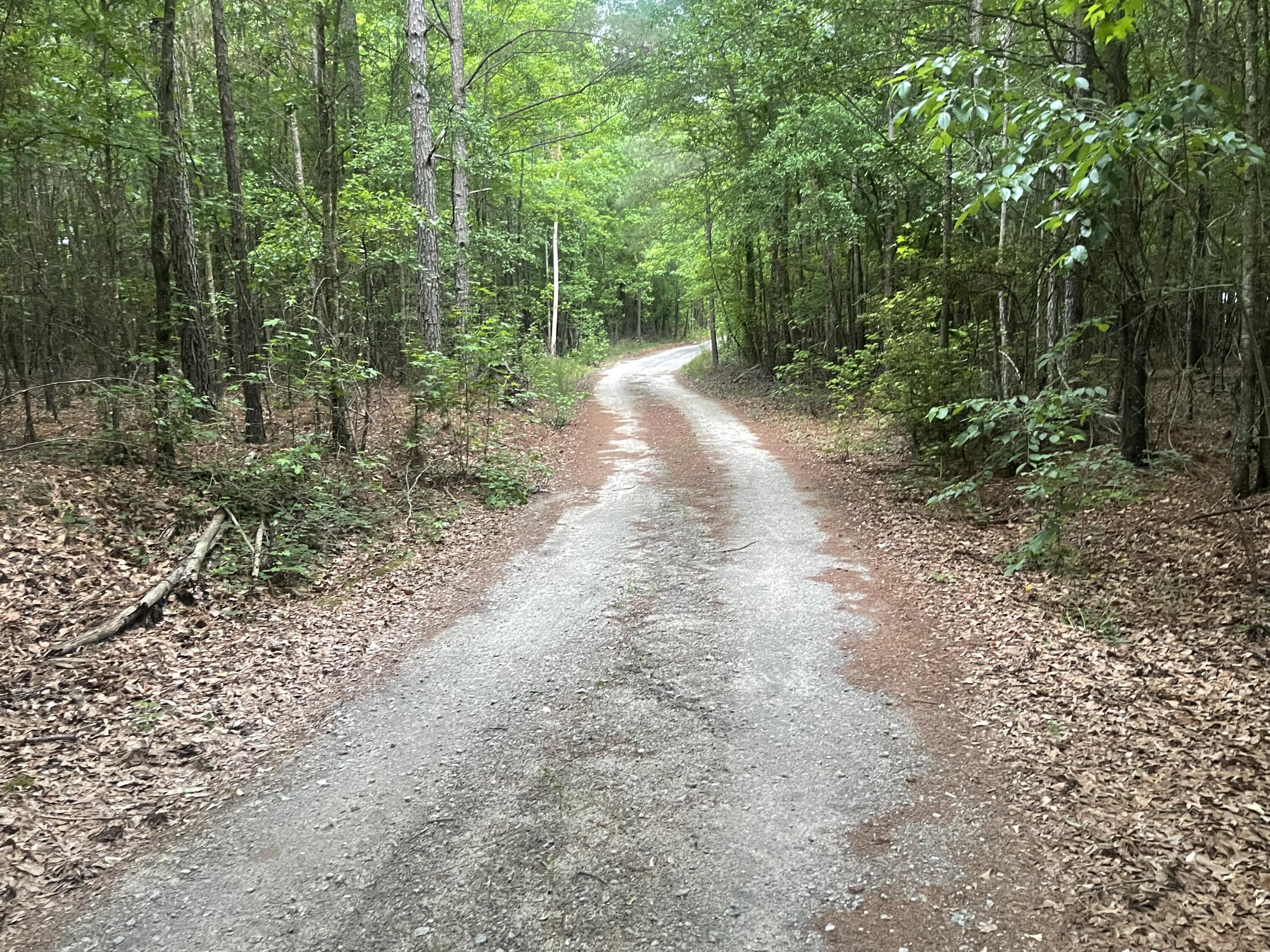 1716 Ranger Road Warrenton, GA 30828 - Photo 32 of 42 Secluded drive