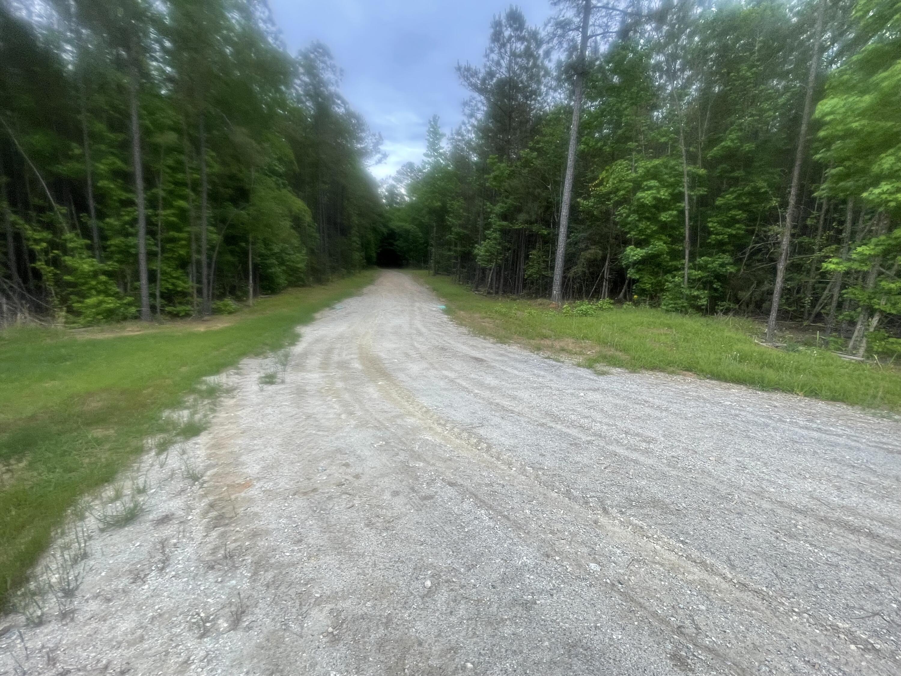 1716 Ranger Road Warrenton, GA 30828 - Photo 33 of 42 Circular driveway