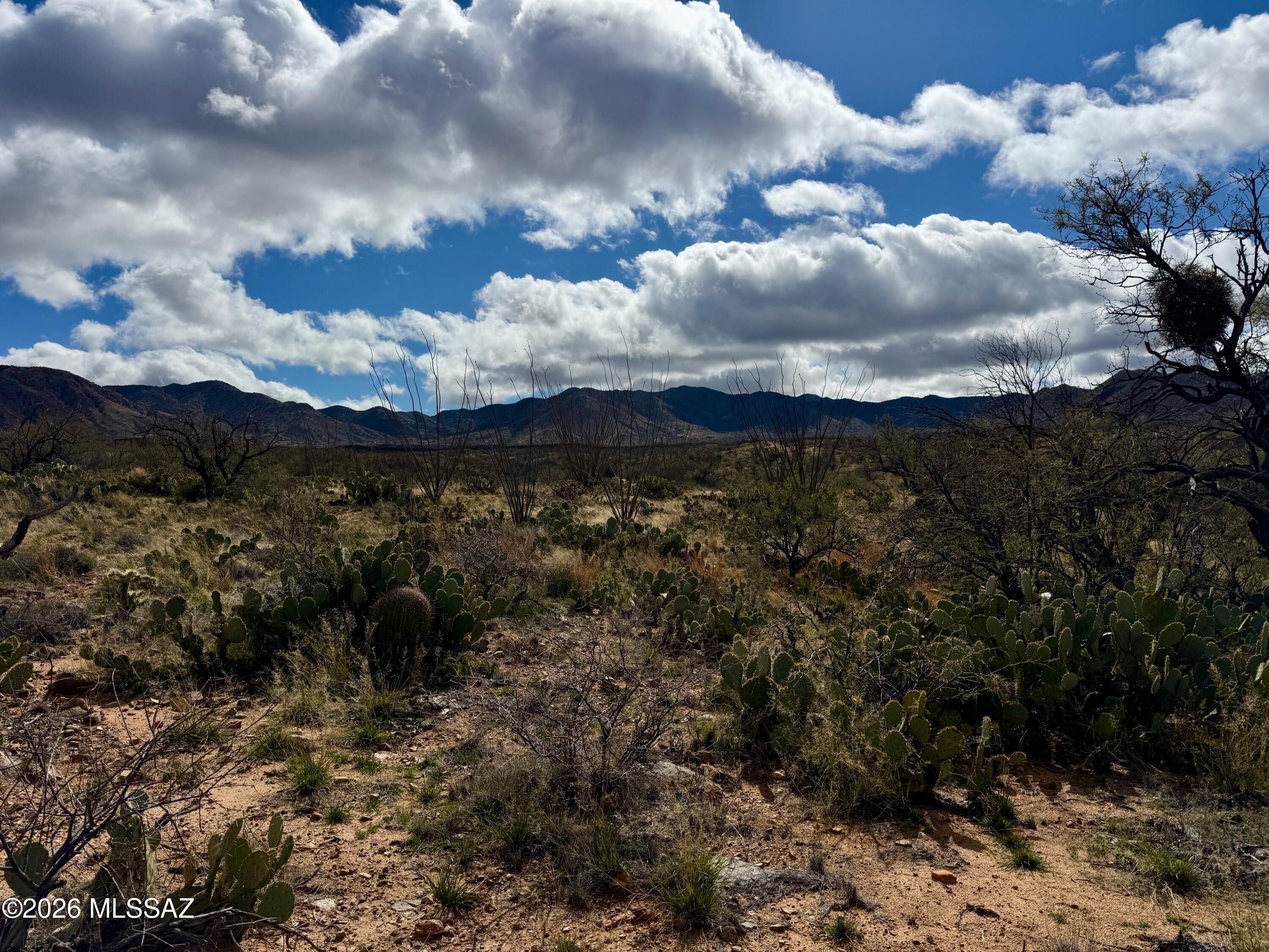 0 South Sierrita Mountain Road Tucson, AZ 85736 - Photo 9 of 24