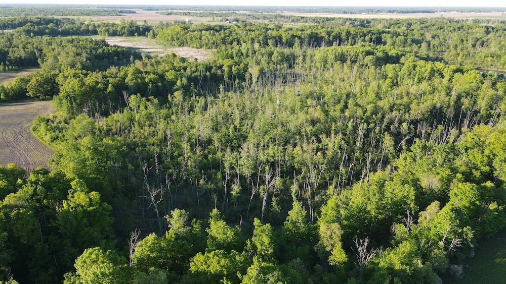Vl Melcher Road Prescott, MI 48756 - Photo 20 of 65 DJI_0821