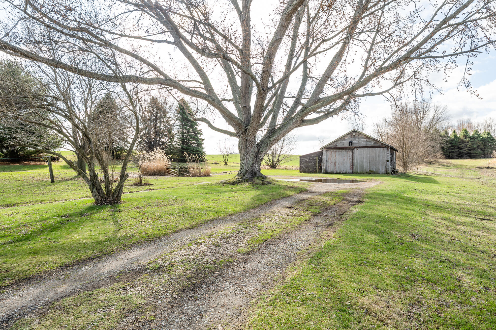 1294 West Glendora Road Buchanan, MI 49107 - Photo 7 of 32 Garage
