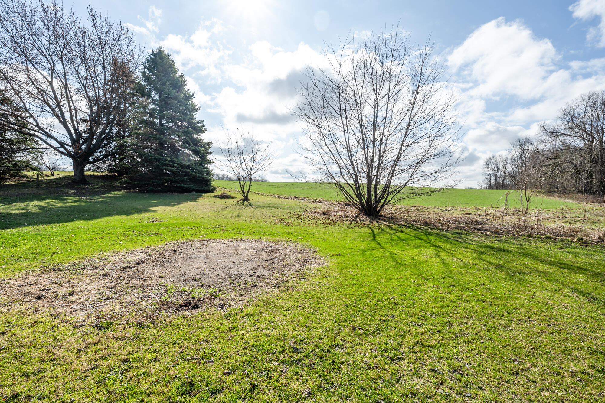 1294 West Glendora Road Buchanan, MI 49107 - Photo 9 of 32 Back Yard
