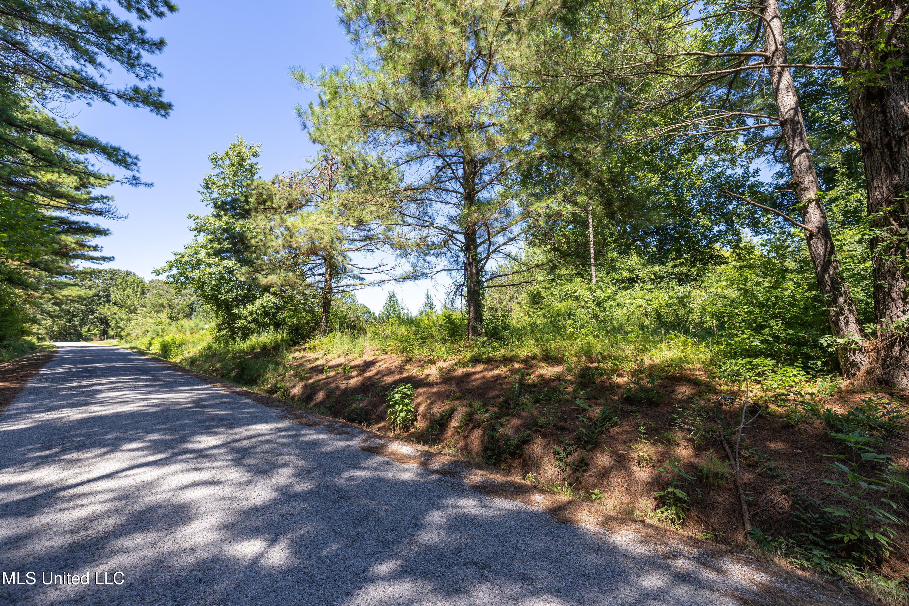 803 McCauley Road Holly Springs, MS 38635 - Photo 11 of 14 Mcauley-2
