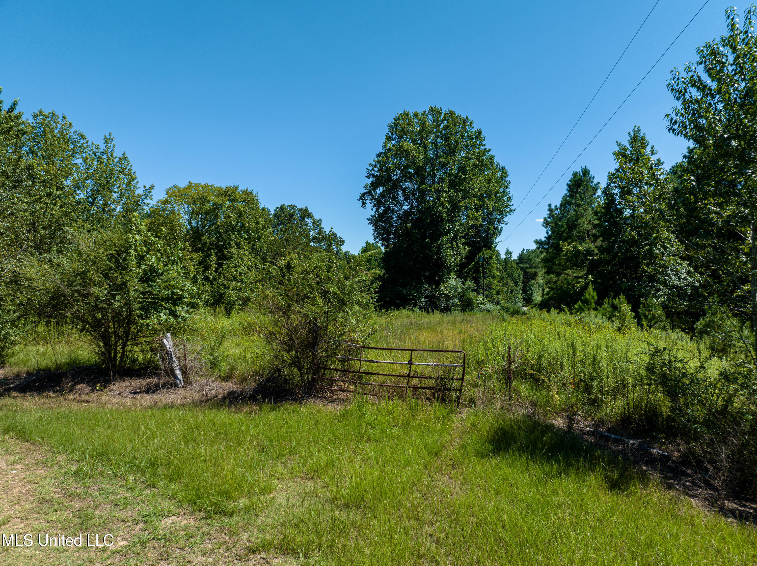 803 McCauley Road Holly Springs, MS 38635 - Photo 13 of 14 Mcauley-12